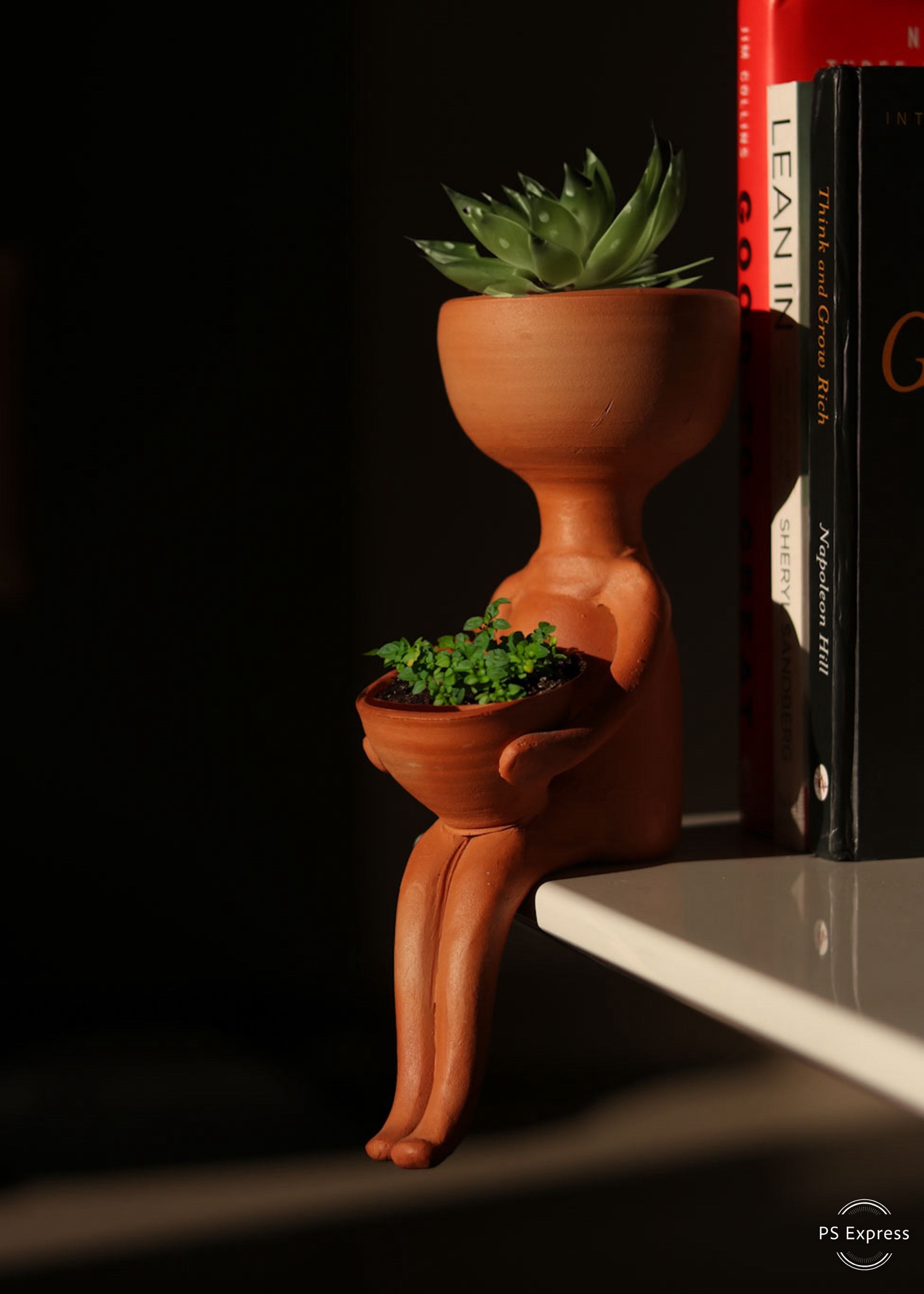 Bala Planter Hamper