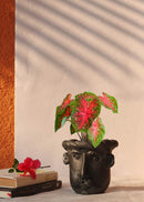 a black planter in a shape of a man's face, decorated with plant is kept on the table