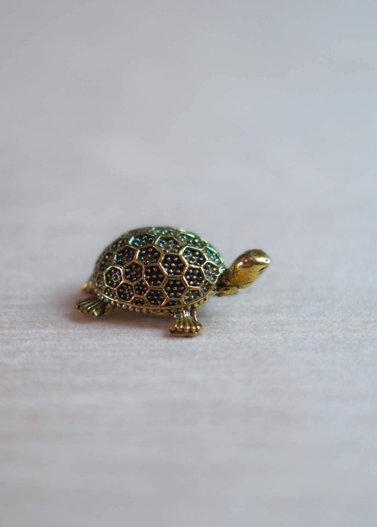 Brass Tortoise for Vastu & Feng Shui – Good Luck & Prosperity Symbol
