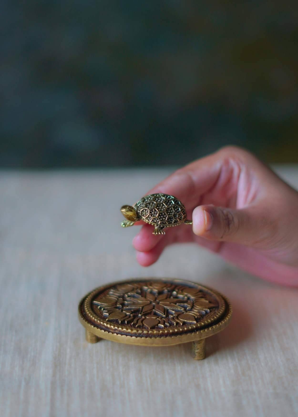 Brass Tortoise for Vastu & Feng Shui – Good Luck & Prosperity Symbol