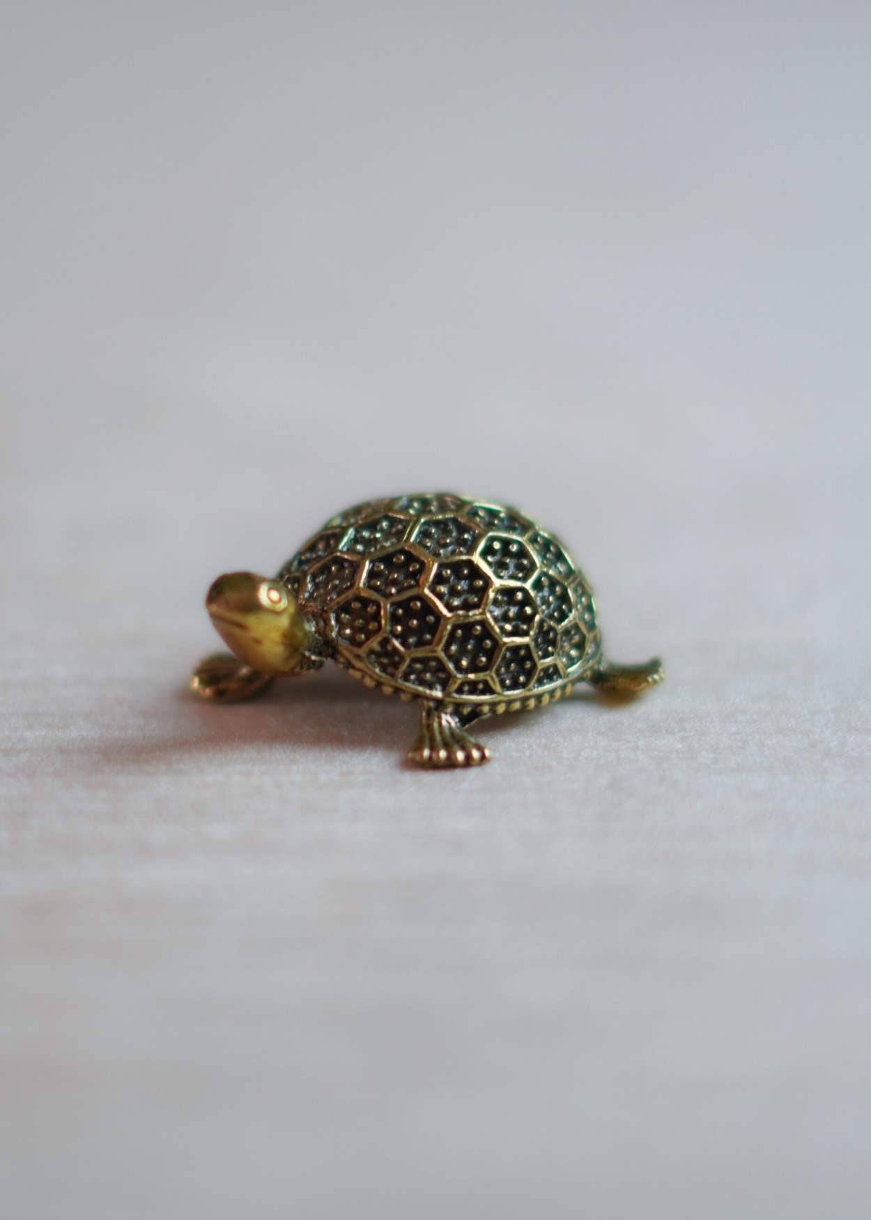 Brass Tortoise for Vastu & Feng Shui – Good Luck & Prosperity Symbol